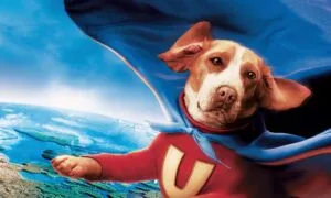 I beagle al cinema: la lista dei film che li vedono protagonisti