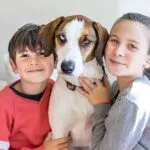 Beagle e bambini